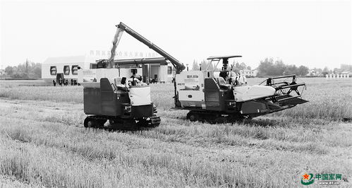 科技赋能沃土，机械守护粮仓 多地推进农业科技创新保障粮食安全纪实