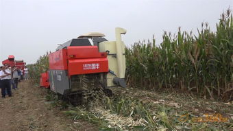 农机化技术观摩会盛大召开，国丰机械创新产品引领关注